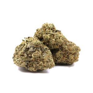 Gelato