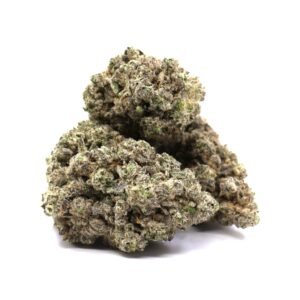 Jungle Fire