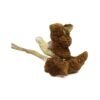 Mazatapec Mushrooms