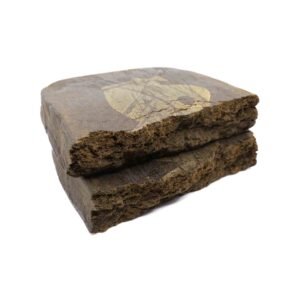 Playboy Hash